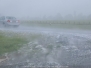 Precipitation