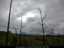 Stratus Clouds