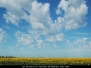 Altocumulus Castellanus