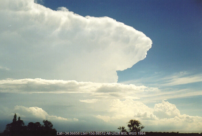 19980201mb17_thunderstorm_anvils_camden_nsw