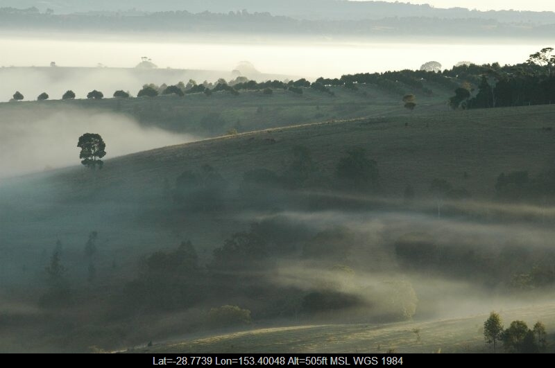 20040812mb04_fog_mist_frost_mcleans_ridges_nsw