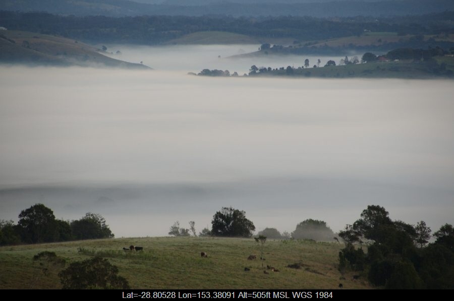 20080626mb02_fog_mist_frost_mcleans_ridges_nsw