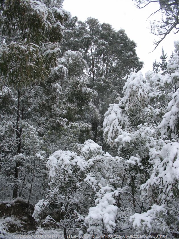 20050810jd104_snow_pictures_near_oberon_nsw