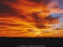 Sunrise Pictures