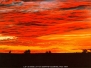 Sunset Pictures