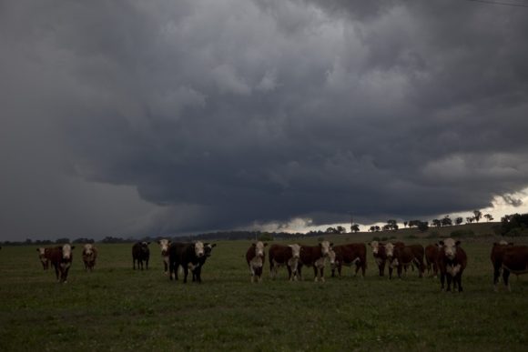 Tamworth supercells 3rd December 2012 3