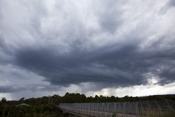 Storms Eastern NSW 23rd March 2013 7