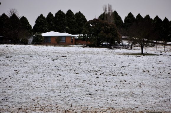 Snow NSW Northern Tablelands 25 June 2013 8