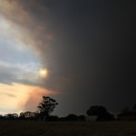 blue mountains fires 005