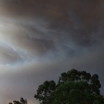 blue mountains fires 003