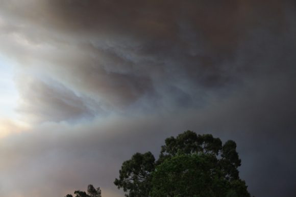 Bushfires Emergencies Blue Mountains 17th October 2013 5