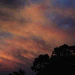 blue mountains fires 006