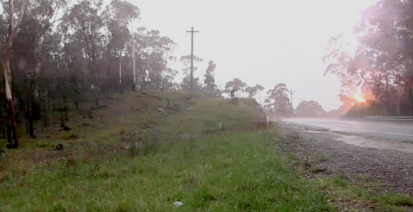 Tree-hit-by-lightning-200-metres-away-2nd-january-2015