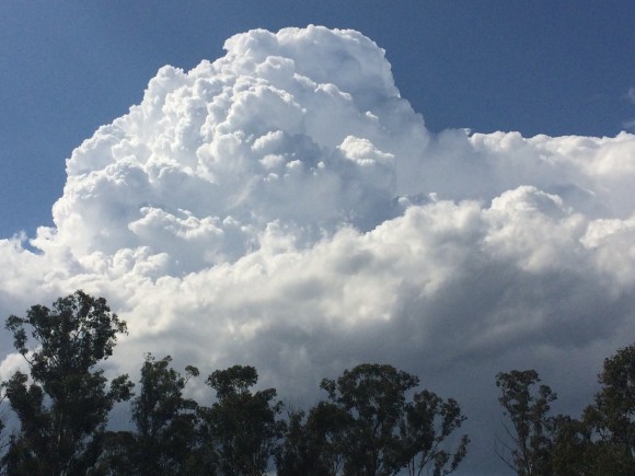 Northern Suburbs Cell