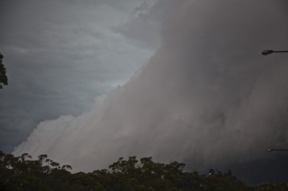 Beast shelf arcus cloud 