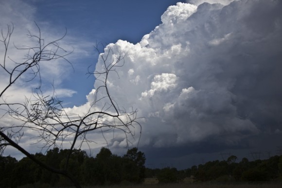 Exploding crisp updrafts on Liverpool cells