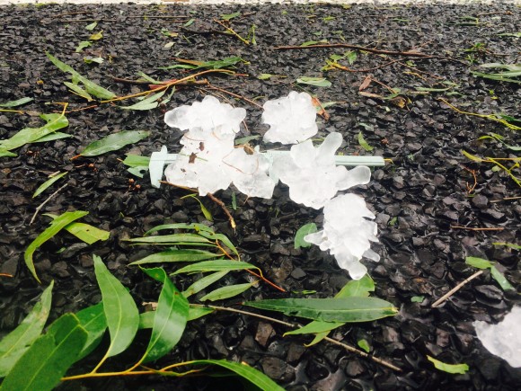 10cm Diameter hailstone! Other hailstones to 8cm surround it - note the conglomerate shapes Also note the stripped leaves leaf litter indicative of a severe hail event!