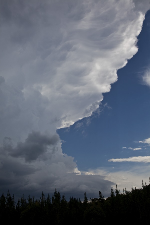 Severe Storms Southern Tablelands 24th January 2015 1