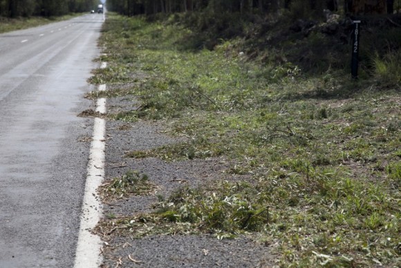 Major leaf litter south of Narrabri