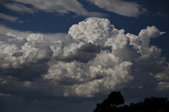 Gosford powerful Cell