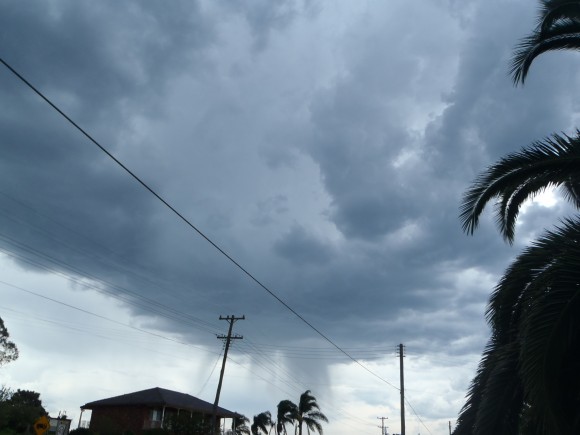 Schofield Storm, Linda Deguara