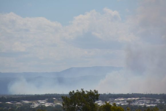 bushfire