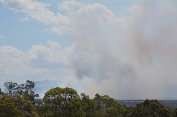 bushfire2