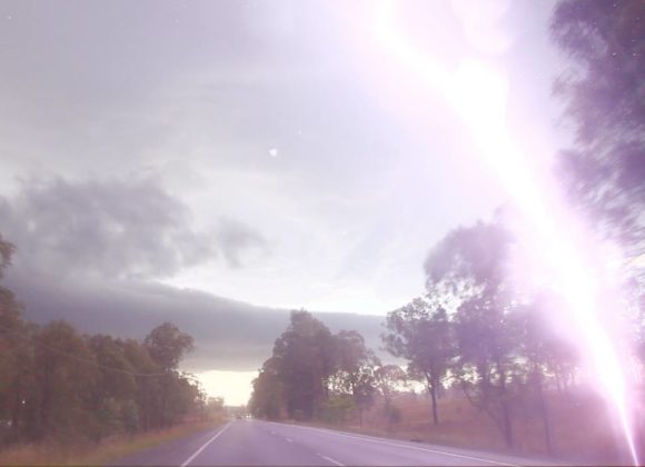 lightning hits a tree