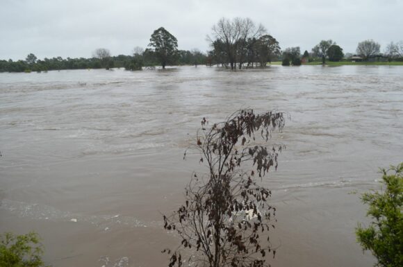 Hawkesbury River at Windsor in flood Sunday afternoon Hawkesbury River in flood