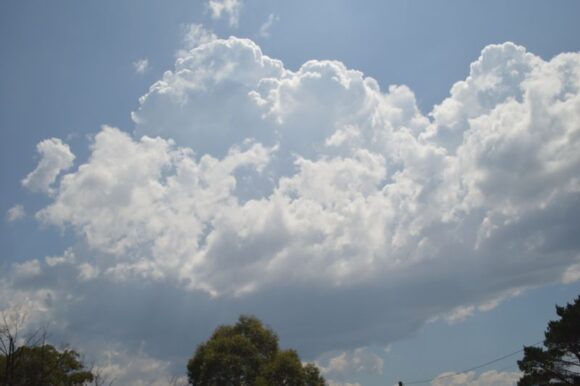 Thunderstorms Putty Road Saturday 28 January 2023