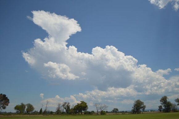 Thunderstorms Western Sydney Thursday 26 January 2023