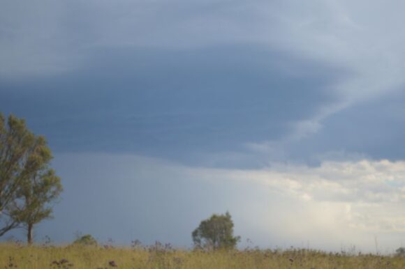 Storms west of Wollongong Thursday 26 January 2023