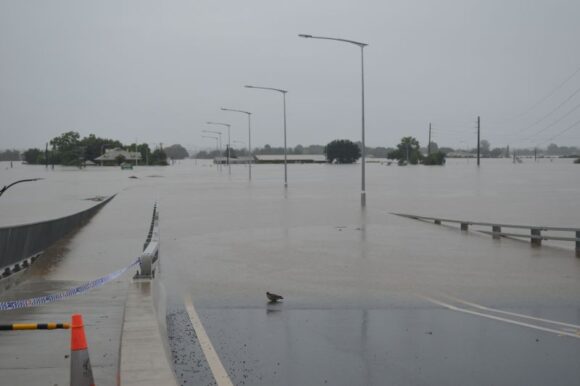 Windsor and Windsor Bridge during the March 2022 floods