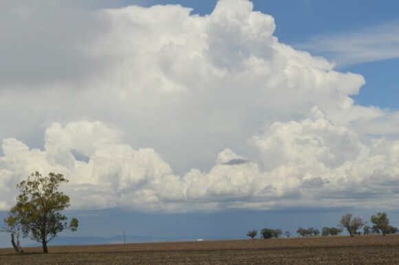 Storms New South Wales Wednesday 29 November 2023 and storm chase.