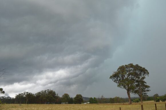 Hailstorms Mittagong Saturday 2 December 2023.