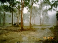 19931025jd07_precipitation_rain_wyee_nsw