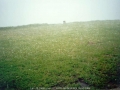 20041213mb54_precipitation_rain_mcleans_ridges_nsw