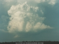19990129jd10_thunderstorm_updrafts_schofields_nsw