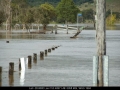 20090522mb007_flood_pictures_mcleans_ridges_nsw