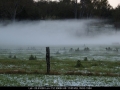 20080920mb104_fog_mist_frost_geneva_nsw