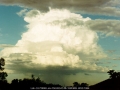 19940501mb02_precipitation_cascade_oakhurst_nsw