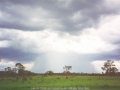 19950106jd05_precipitation_cascade_rooty_hill_nsw