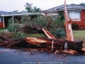 19990829jd09_storm_damage_fairfield_west_nsw
