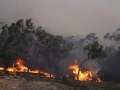 20060924jd35_wild_fire_pacific_park_nsw