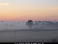 20050909jd03_fog_mist_frost_schofields_nsw