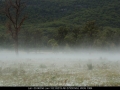 20070210mb32_fog_mist_frost_s_of_tenterfield_nsw