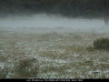 20070210mb35_fog_mist_frost_s_of_tenterfield_nsw