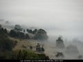 20080626mb04_fog_mist_frost_mcleans_ridges_nsw