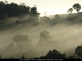 20090528mb05_fog_mist_frost_mcleans_ridges_nsw