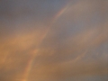 20030228jd06_rainbow_pictures_schofields_nsw